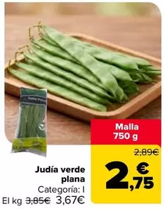 Judia Verde Plana