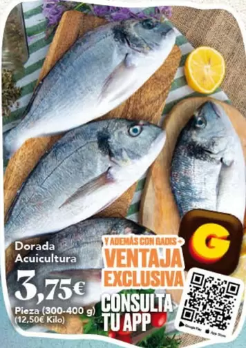Dorada Acuicultura
