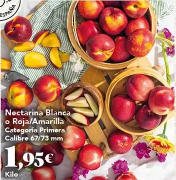 Nectarina Blanca O Roja/amarilla