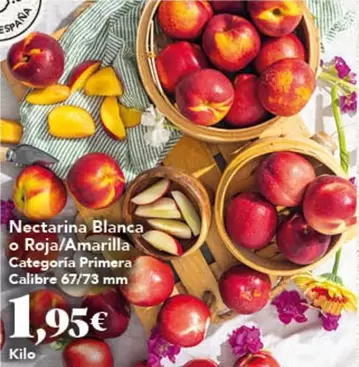 Nectarina Blanca O Roja/ Amarilla
