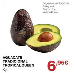 Tropical - Aguacate Tradicional Queen