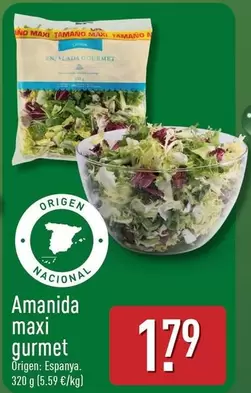 Amanida Maxi Gurmet
