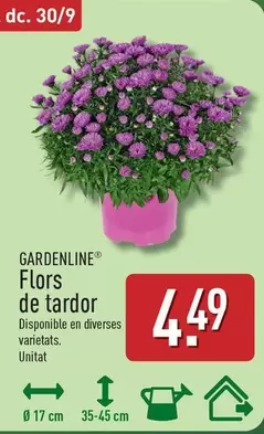 Gardenline - Flors De Tardor