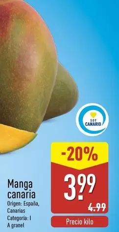 Manga Canaria