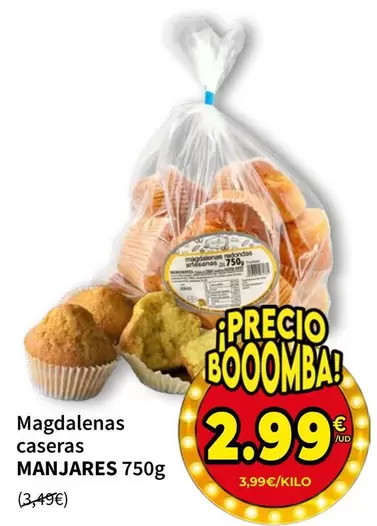 Manjares - Magdalenas Caseras