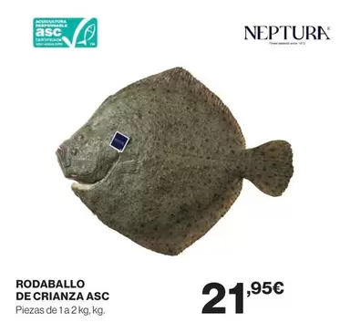 Rodaballo De Crianza Asc