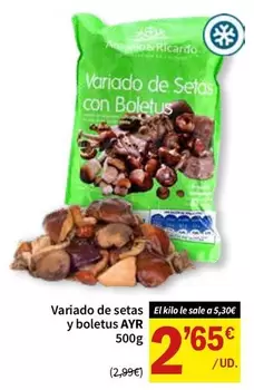 Variado De Setas Y Boletus