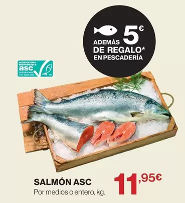 Salmón