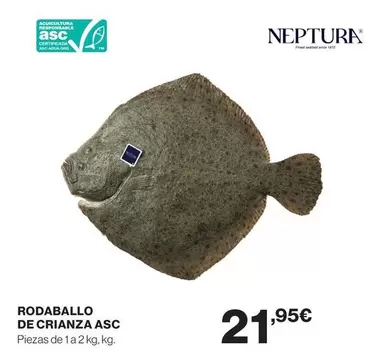 Rodaballo De Crianza Asc