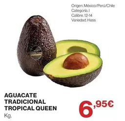 Tropical - Aguacate Tradicional  Queen
