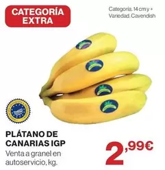 Plátano De Canarias Igp