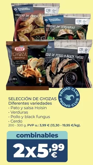 VICI - Selección De Gyozas