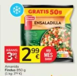 Findus - Amanida