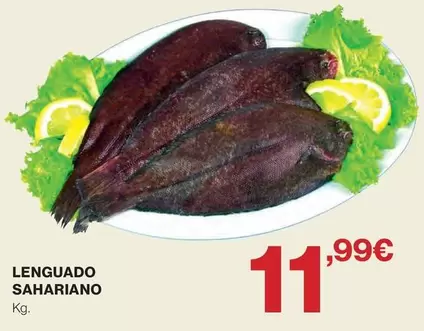 Lenguado Sahariano