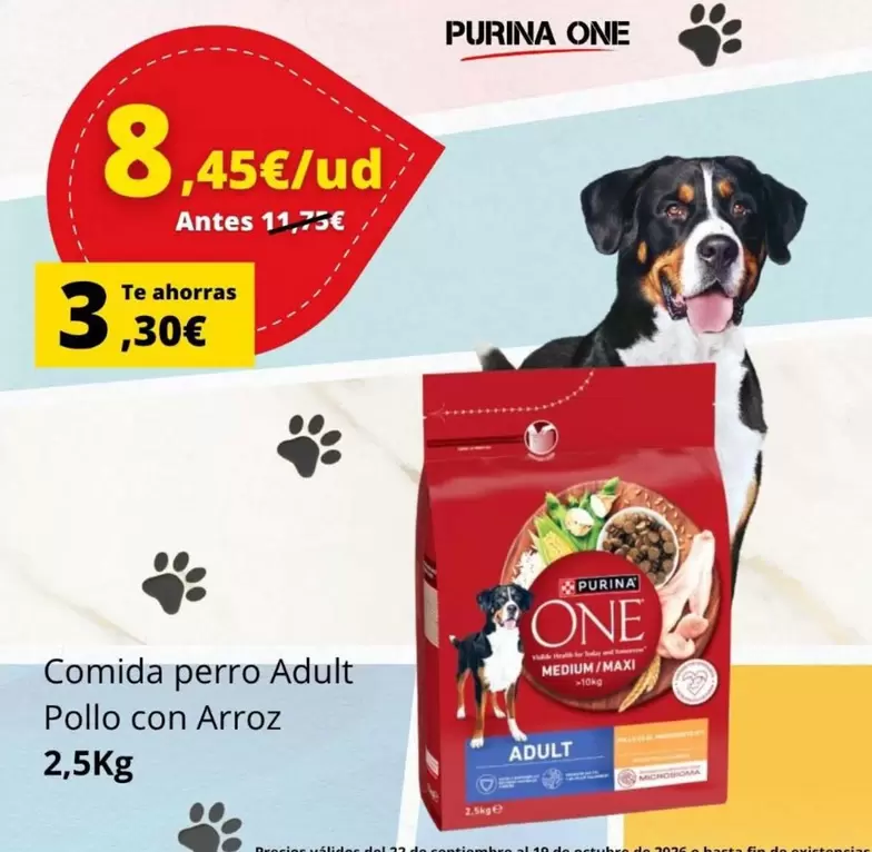 Purina - One Comida Perro Adult Pollo Con Arroz