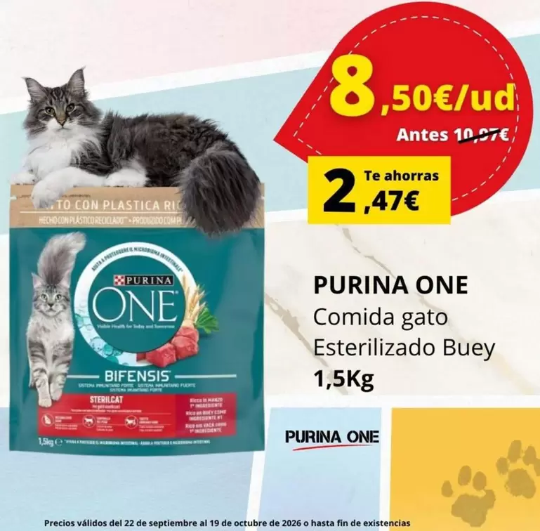Purina - One Comida Gato Esterilizado Buey