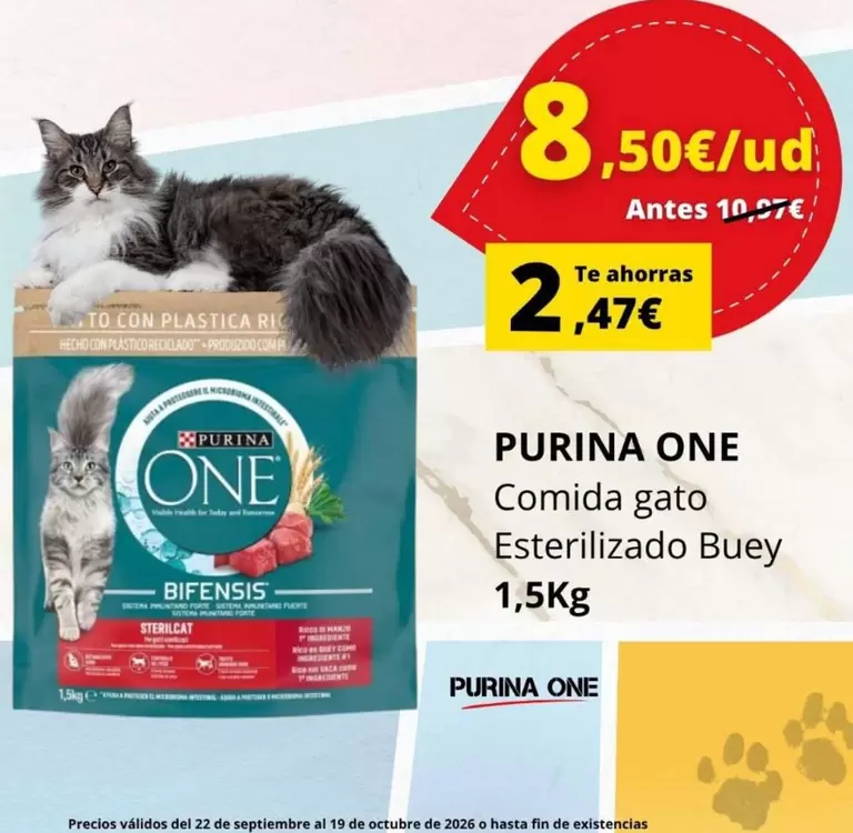 Purina - One Comida Gato Esterilizado Buey