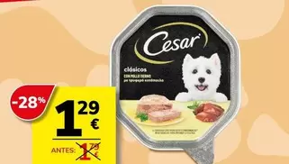 Cesar - Désations Ceresures