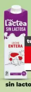 Dia Lactea - Leche Sin Lactosa Entera