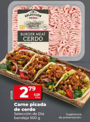 Seleccion De Dia - Carne Picada De Cerdo
