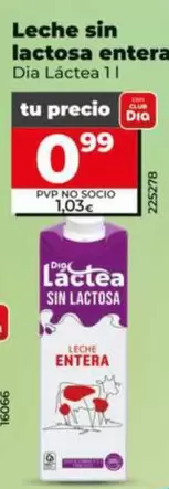 Dia Lactea - Leche Sin Lactosa Entera