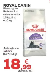 Royal Canin - Pienso Gato