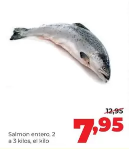 Salmon Entero
