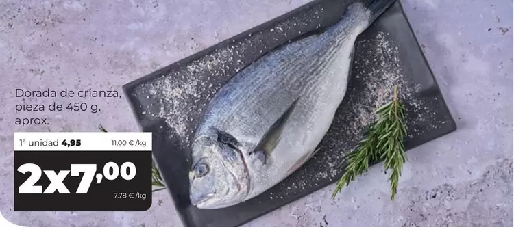 Dorada De Crianza