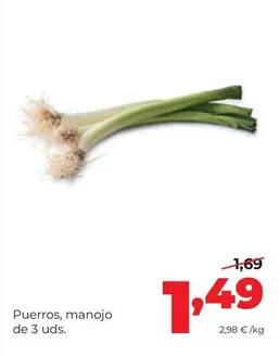 Puerros, Manojo De 3 Uds.