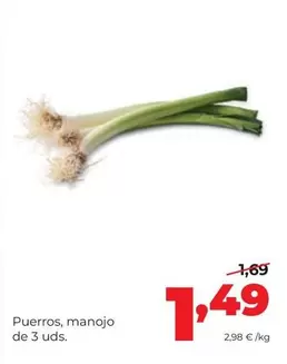 Puerros, Manojo De 3 Uds.