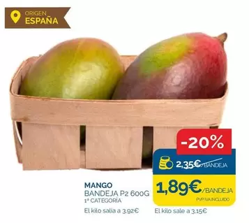 mango - Mango