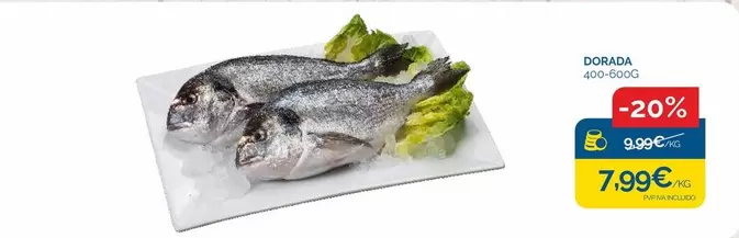 dorada - Dorada