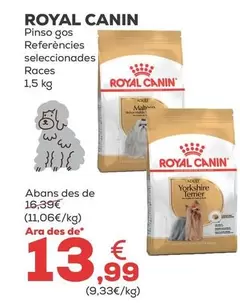 Royal Canin - Pienso Perro