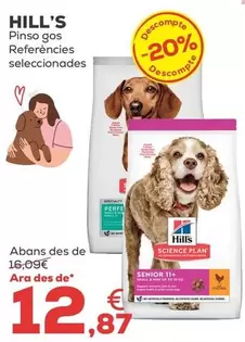 Hill's - Pienso Perro