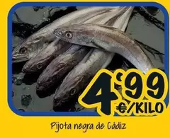 Pijota Negra De Cadiz