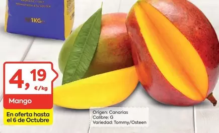 mango - Mango