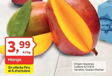 mango - Mango