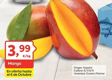 mango - Mango