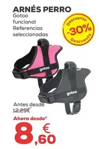 Gotoo - Arnés Perro