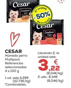 Cesar - Humedo Perro Multipack