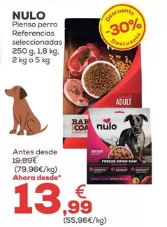 Nulo - Pienso Perro