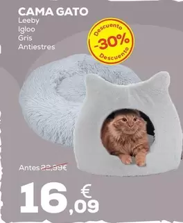Leeby - Cama Gato