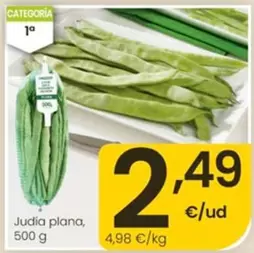 Judia Plana