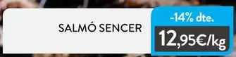 Salmó Sencer