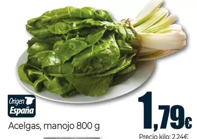 Acelgas
