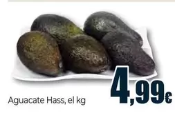 Aguacate Hass