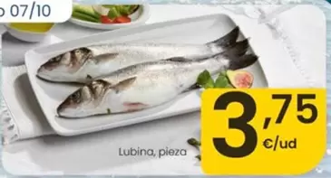 Lubina