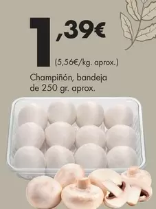Champiñón, Bandeja De 250 Gr. Aprox.