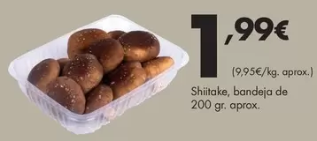 Shiitake