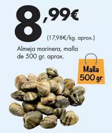 Almeja Marinera